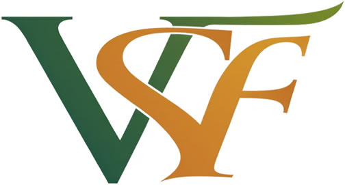 Städfirma Västra Frölunda Göteborg